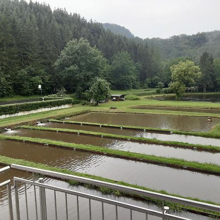 Zimmer Ohne Fruehstueck In Der Forellenzucht Burgen  Exterior photo