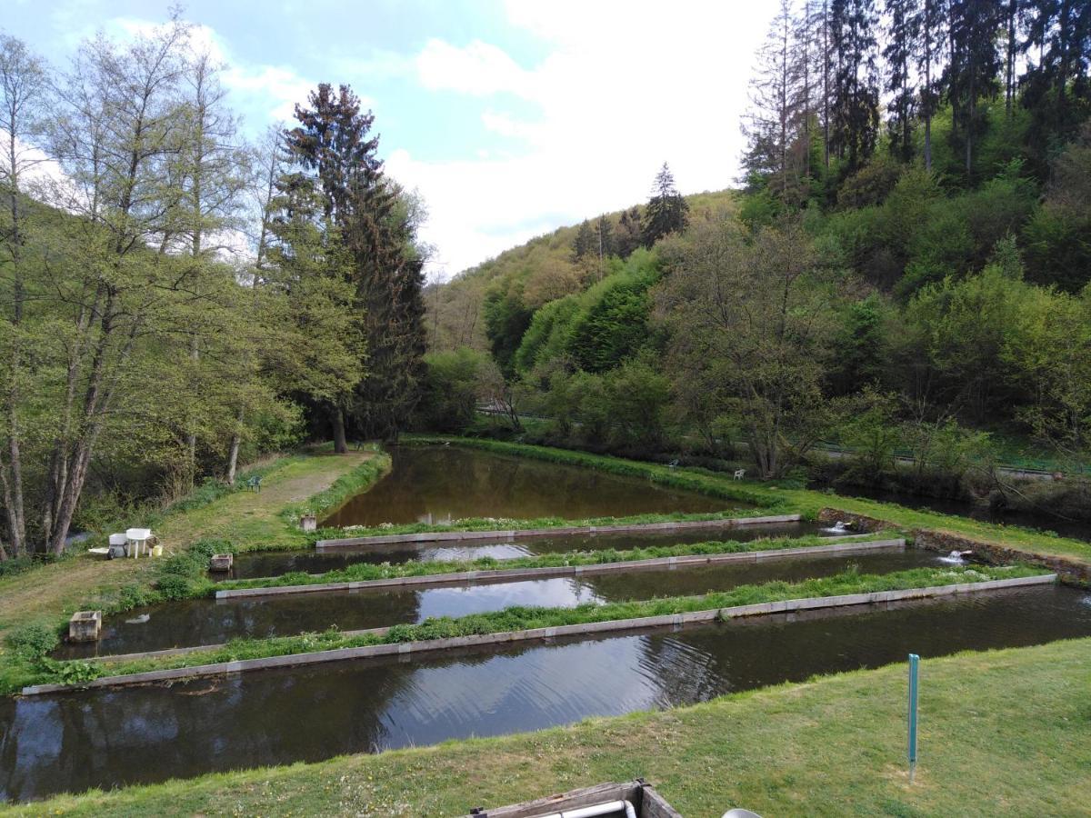 Zimmer Ohne Fruehstueck In Der Forellenzucht Burgen  Exterior photo
