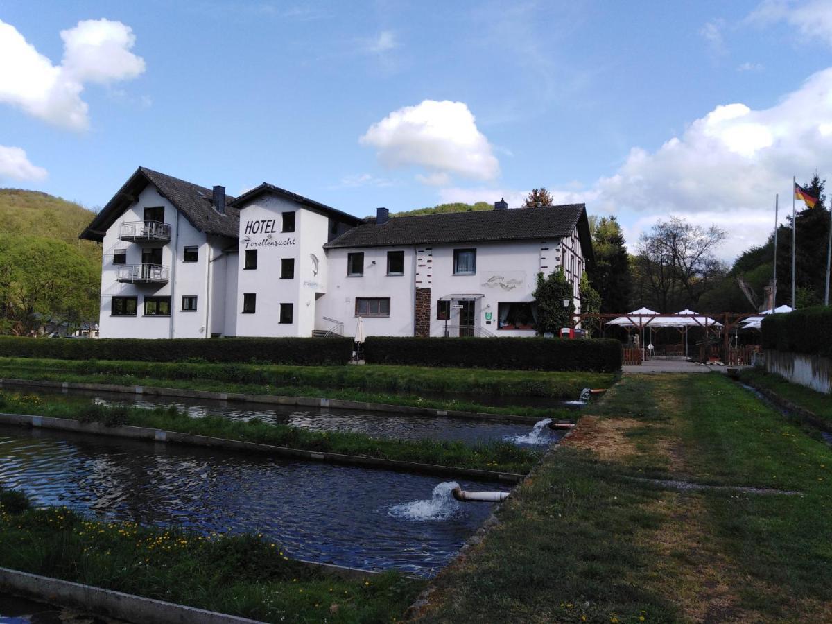 Zimmer Ohne Fruehstueck In Der Forellenzucht Burgen  Exterior photo