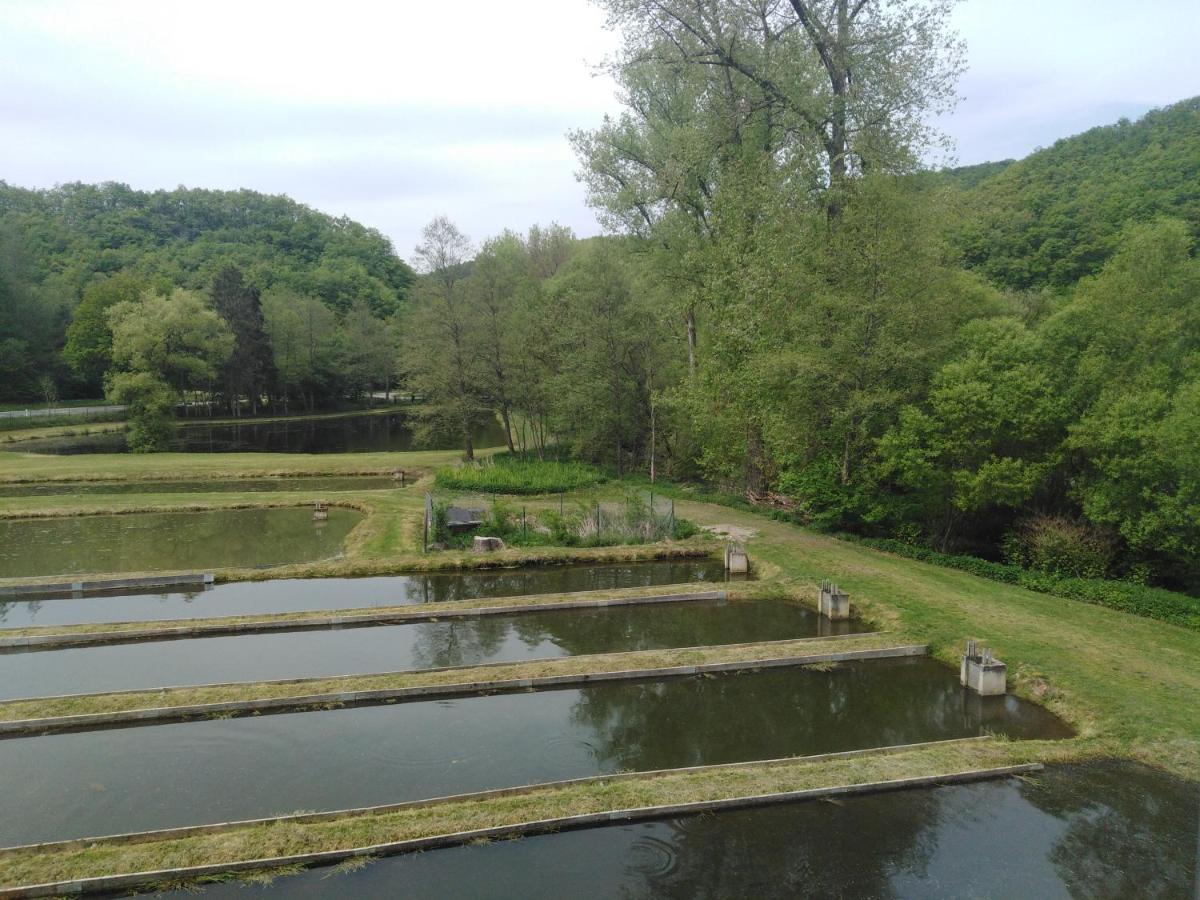 Zimmer Ohne Fruehstueck In Der Forellenzucht Burgen  Exterior photo