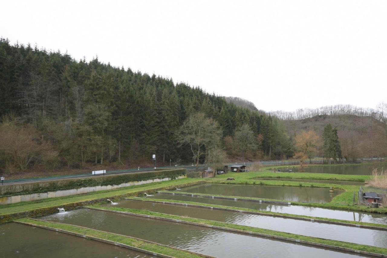 Zimmer Ohne Fruehstueck In Der Forellenzucht Burgen  Exterior photo