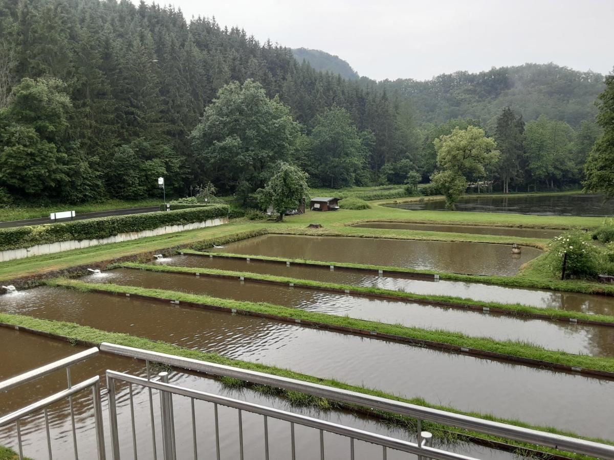 Zimmer Ohne Fruehstueck In Der Forellenzucht Burgen  Exterior photo