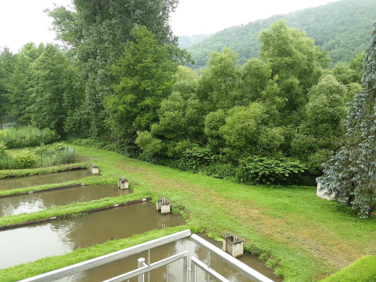 Zimmer Ohne Fruehstueck In Der Forellenzucht Burgen  Exterior photo