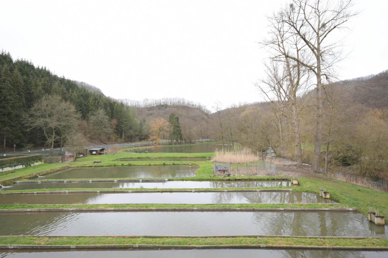 Zimmer Ohne Fruehstueck In Der Forellenzucht Burgen  Exterior photo